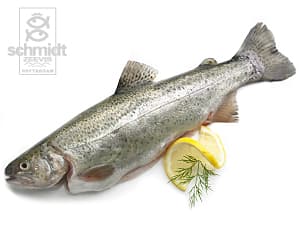 Forel, heel