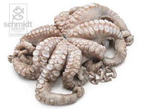 Octopus, heel