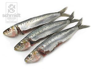 Sardines Bretons, heel