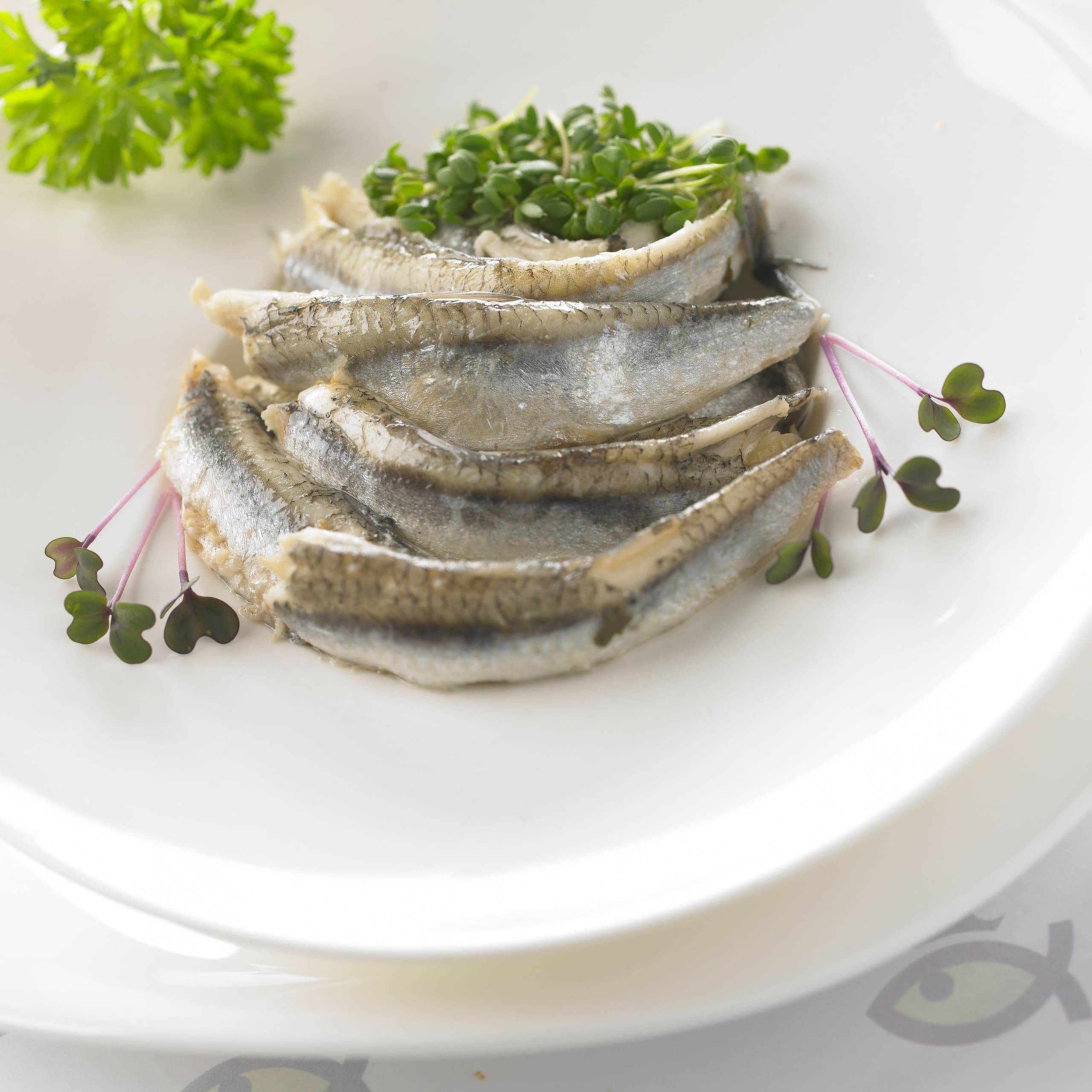 Ansjovisfilet, naturel
