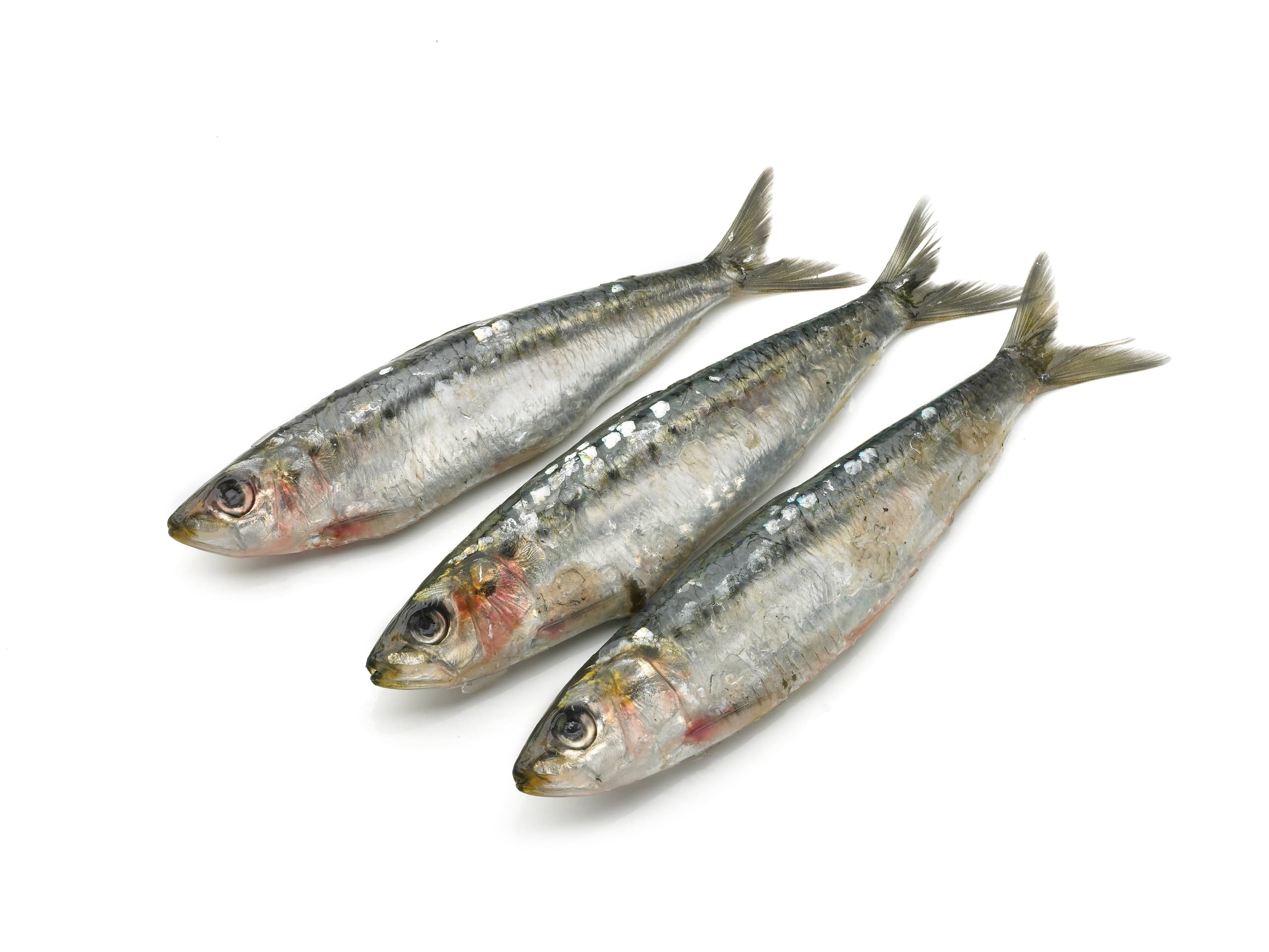 Sardines Bretons, schoon & geschubd - 90 gram