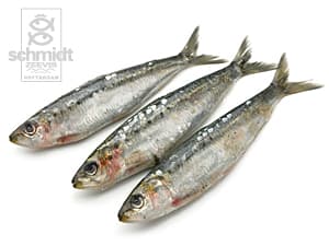 Sardines Bretons, heel