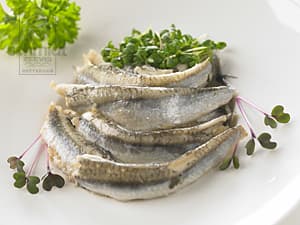 Filet naturel