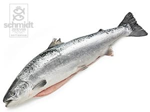 Zalm Noors, heel